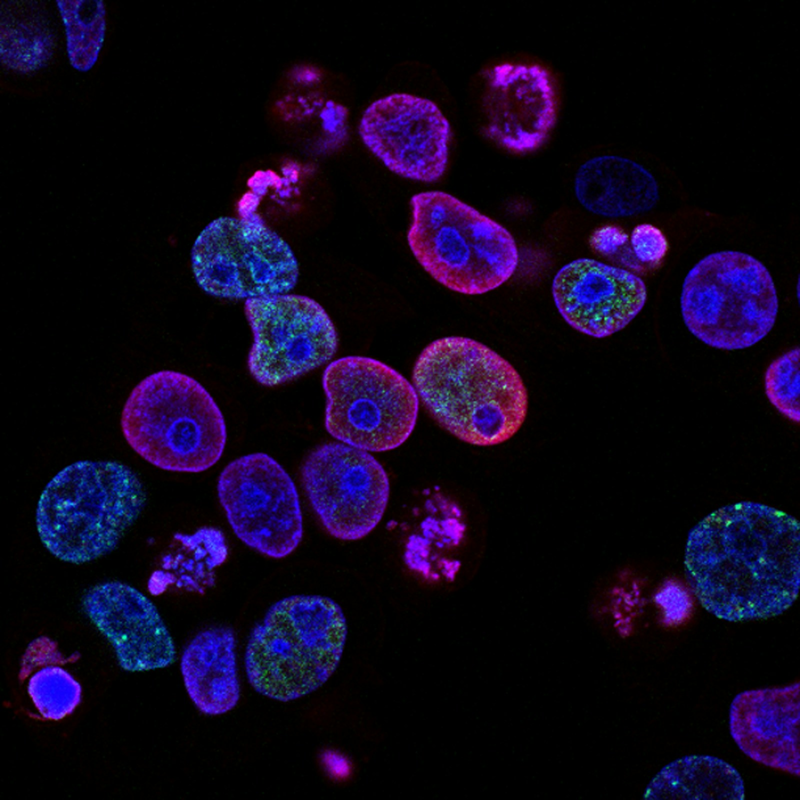 DNA and molecular biology